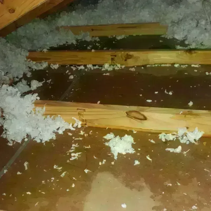 Attic Water Damage in Milton, GA