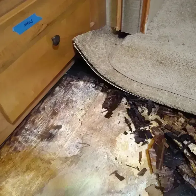 Wood Floor Water Damage in Milton, GA